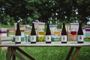 Mead and Honey Tasting Box