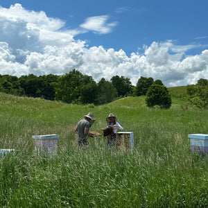 Bee Tour