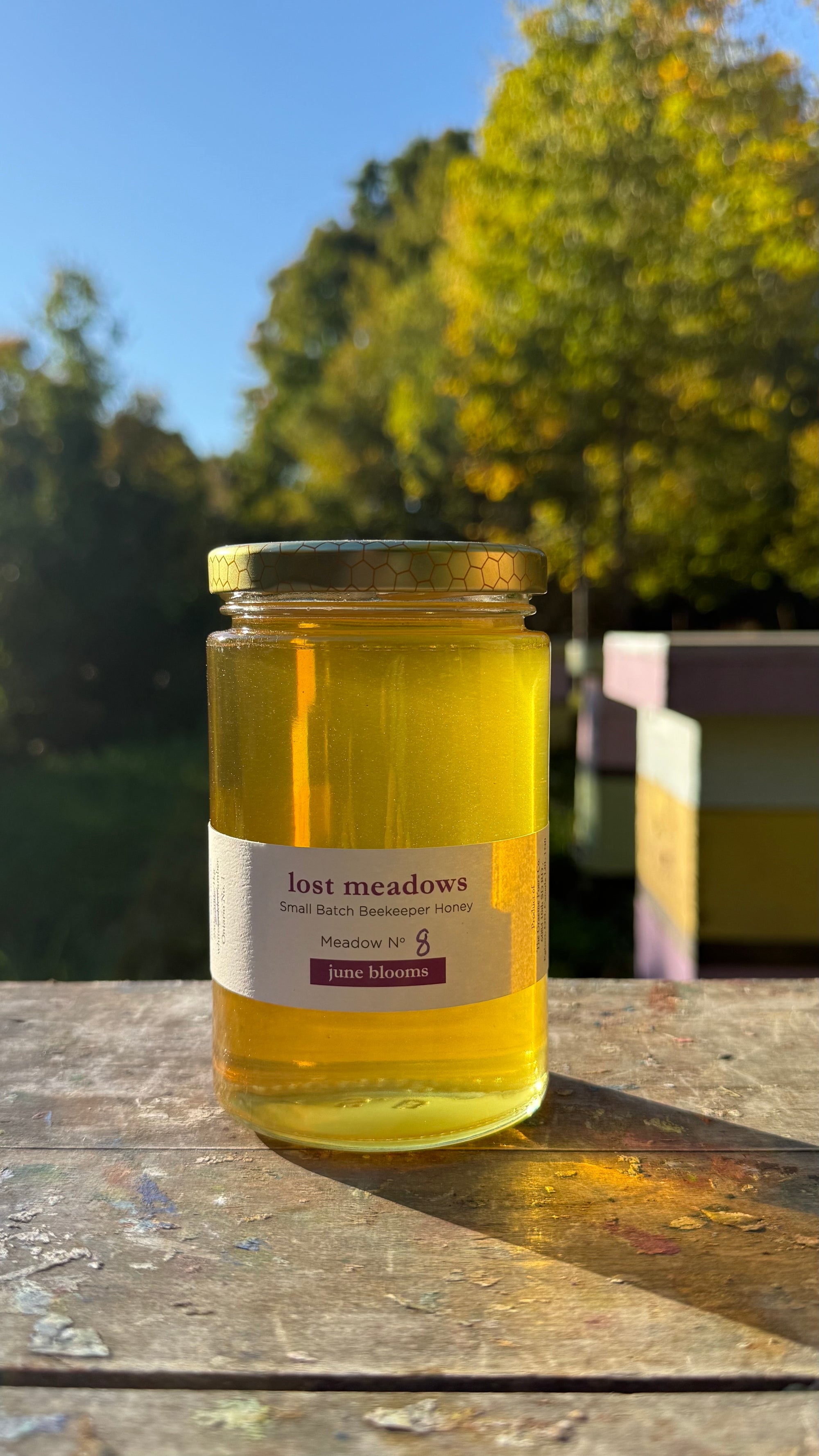 Honey - June Meadow No. 8