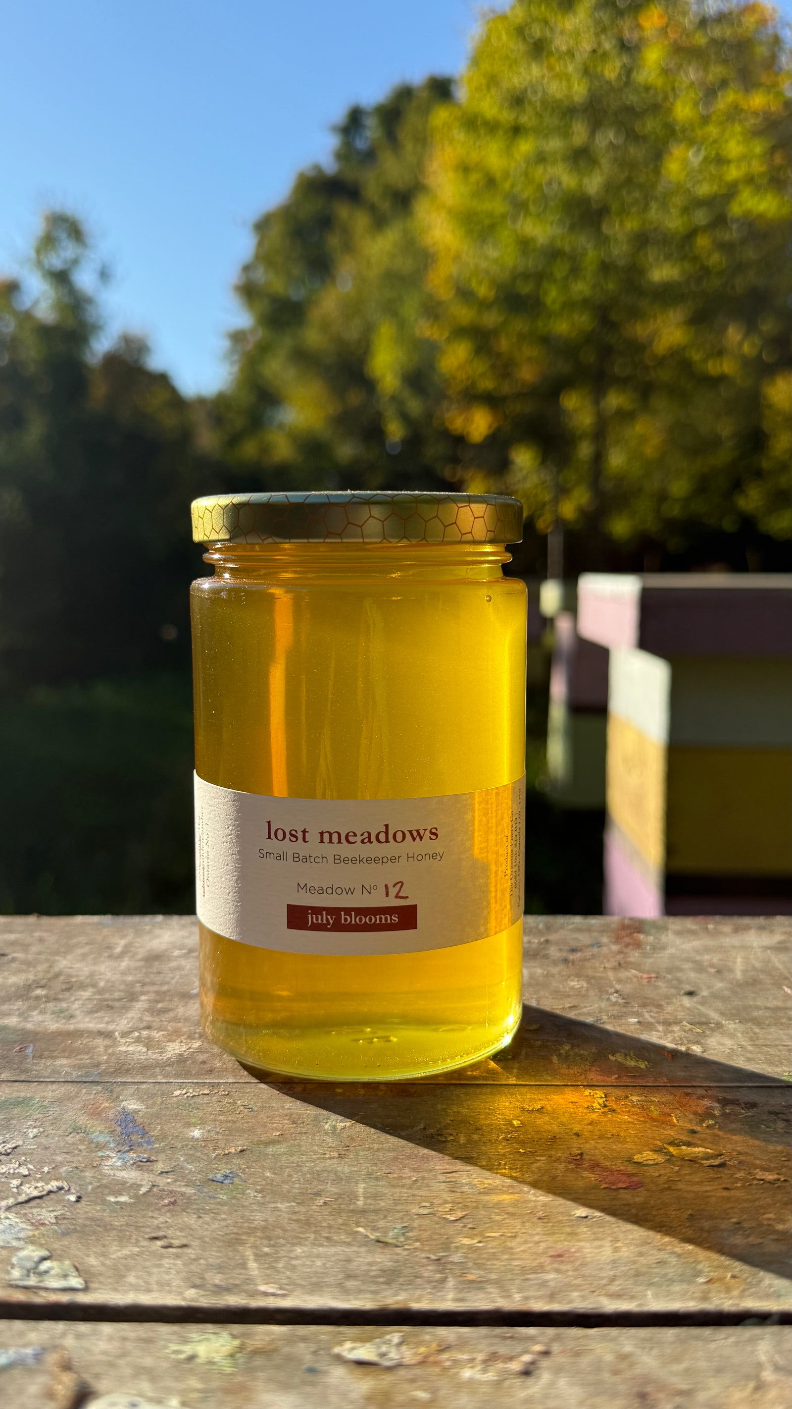 Honey - July Meadow No. 12