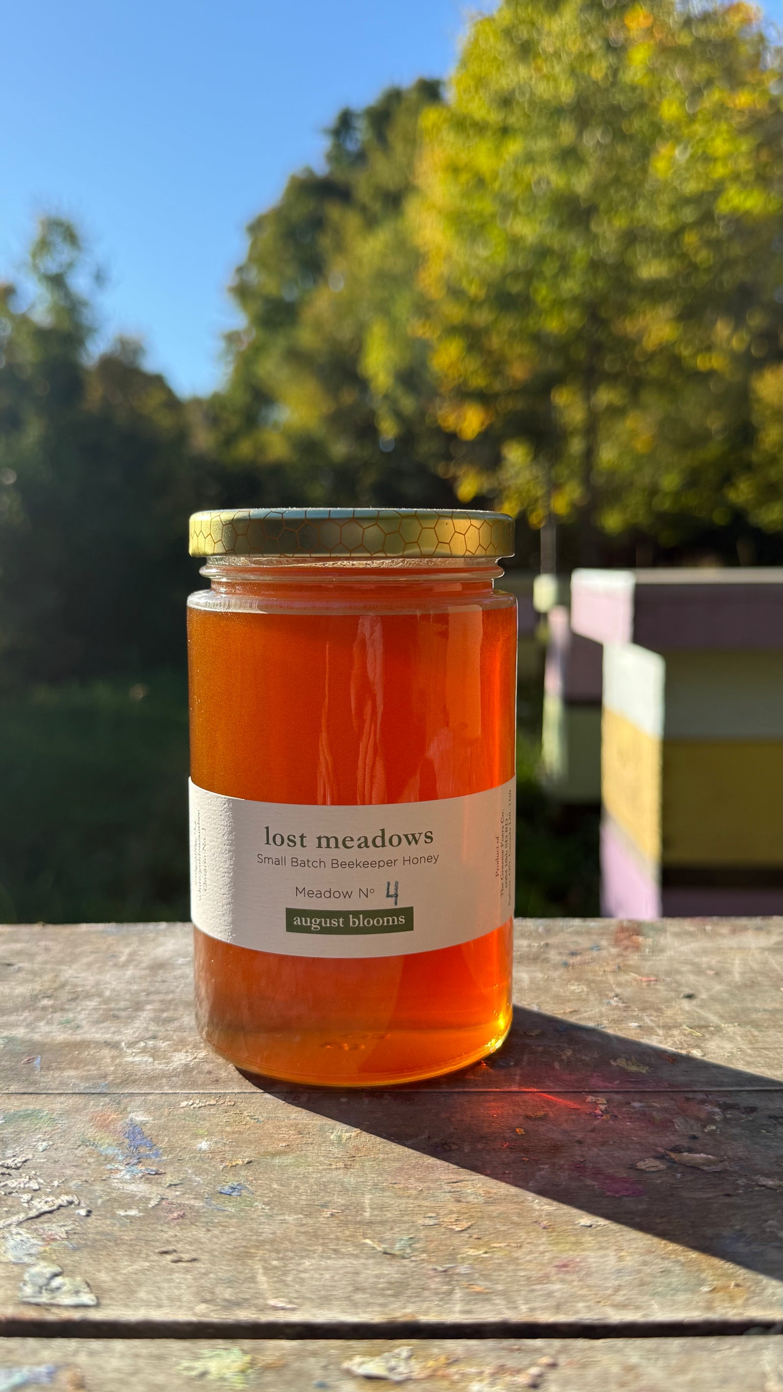 Honey - August Meadow No. 4