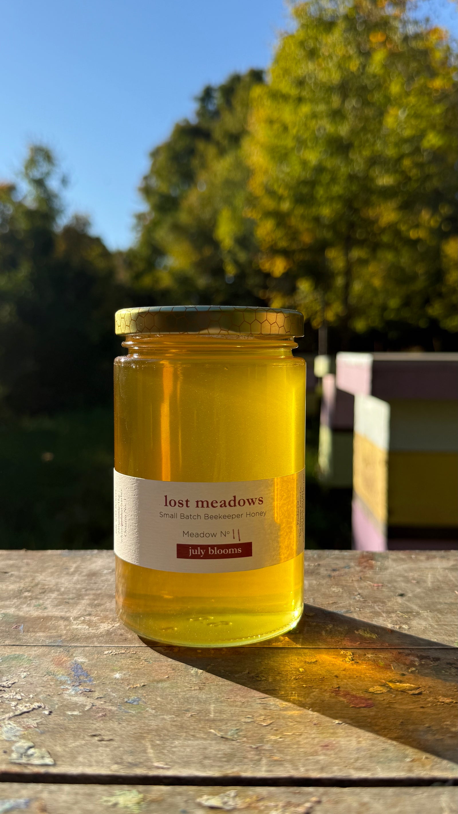 Honey - July Meadow No. 11