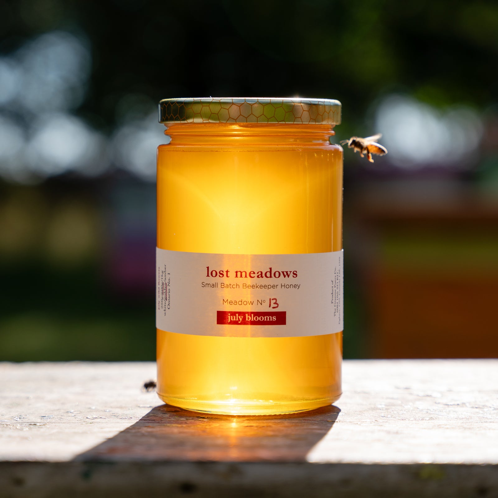 Honey - July Meadow No. 13