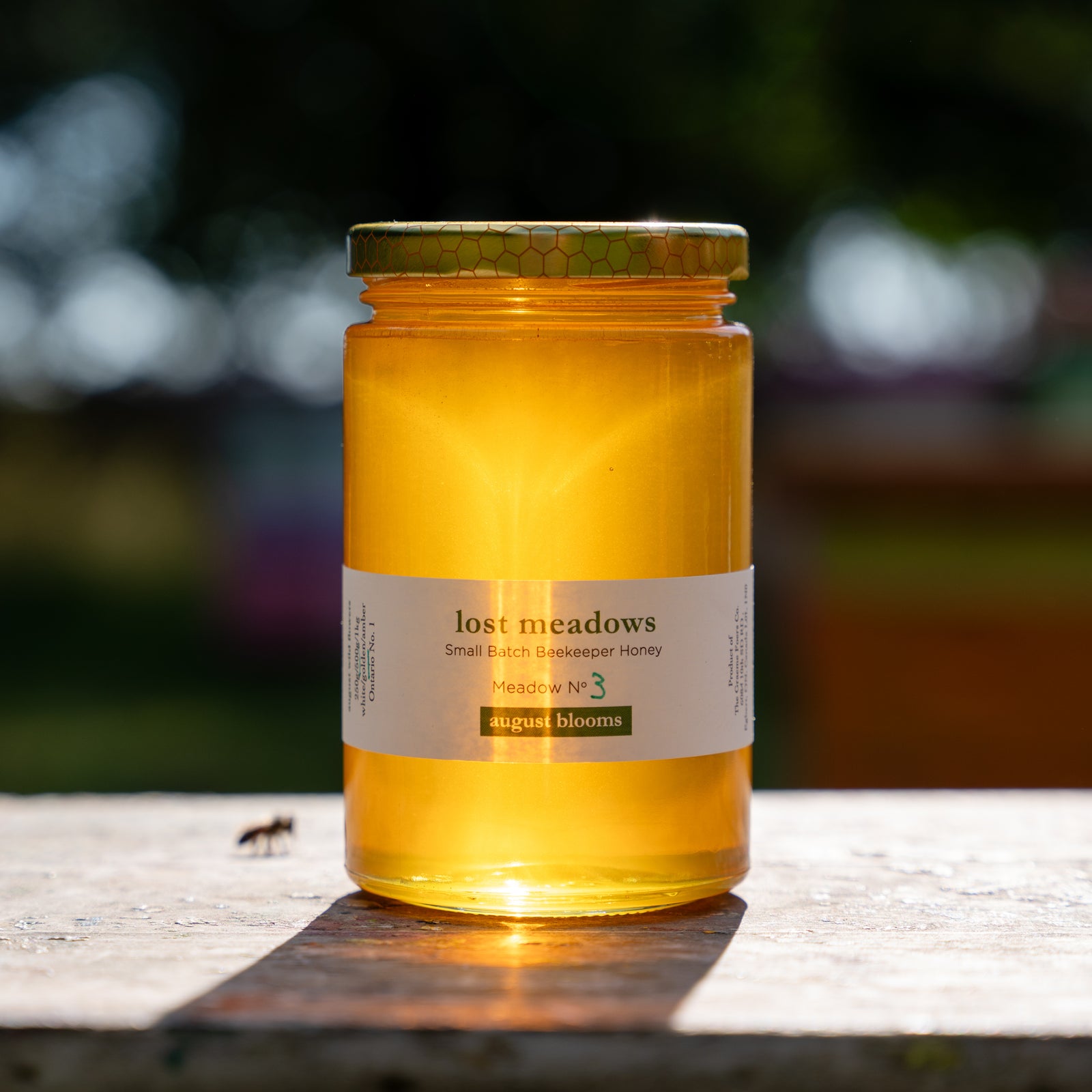 Honey - August Meadow No. 3