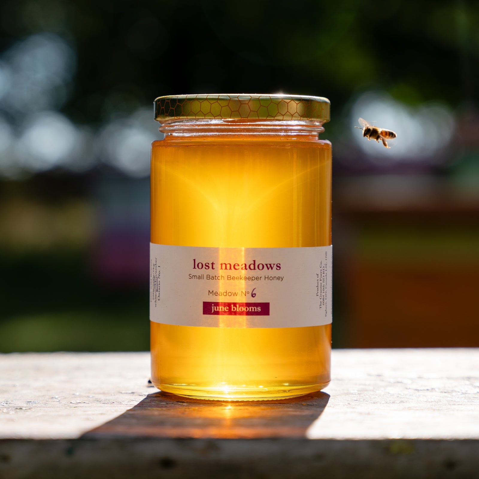 Honey - June Meadow No. 6