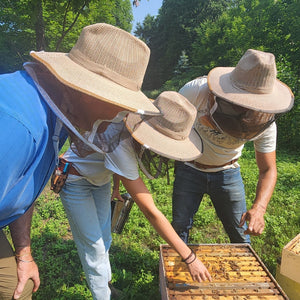 Bee Tour
