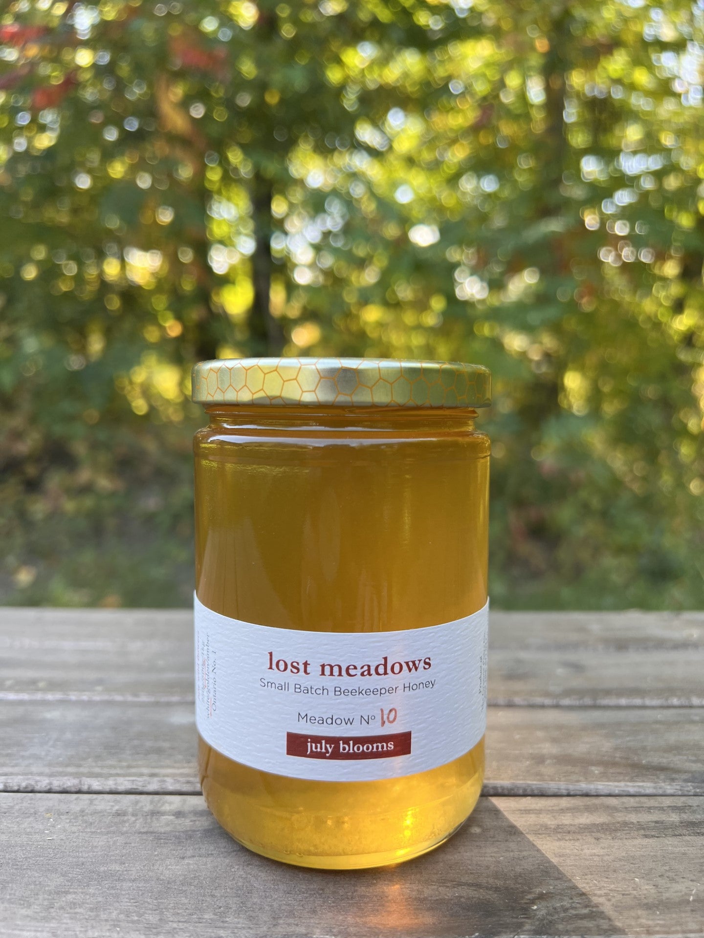 Meadow No. 10- July blooms honey