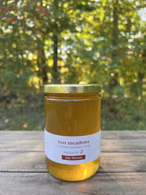 Meadow No. 7- July blooms honey