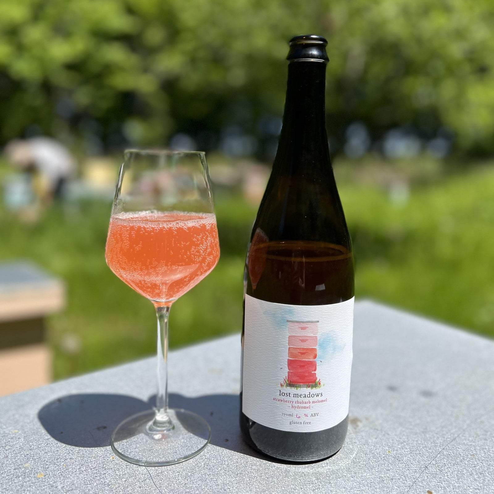 Mead- Strawberry Rhubarb  Dry Sparkling Mead