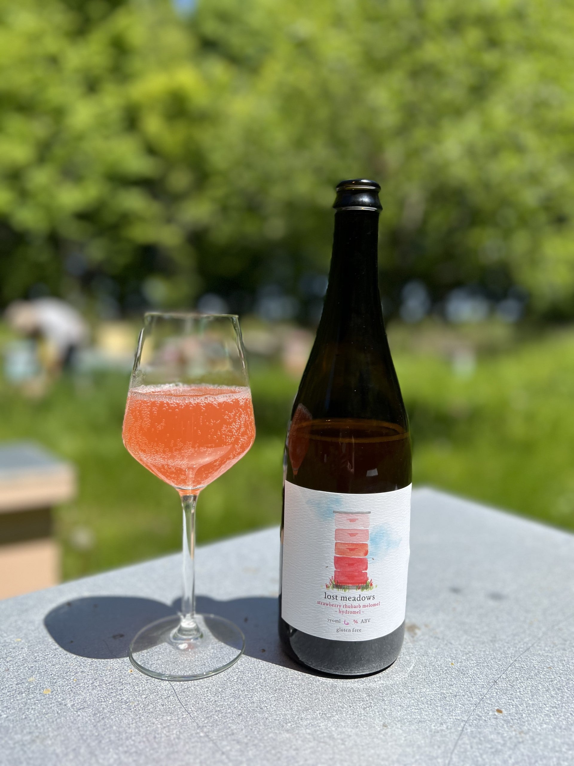 Mead- Strawberry Rhubarb  Dry Sparkling Mead